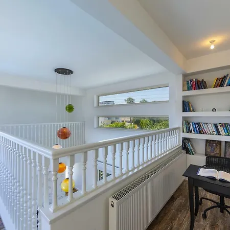 Marisol Kiti Lárnaka